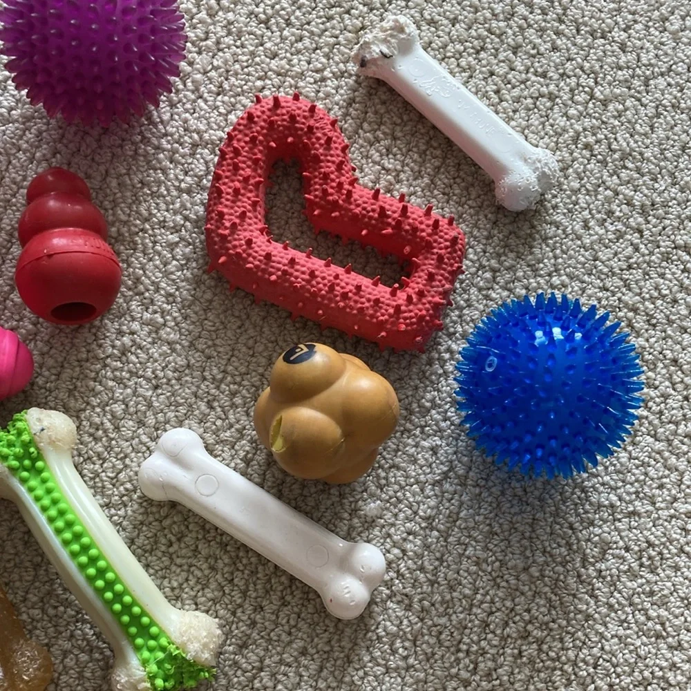 Dog Toy Bundle 18 Count Squeaker Chew Play For Medium Dogs 25 Pounds+ EUC